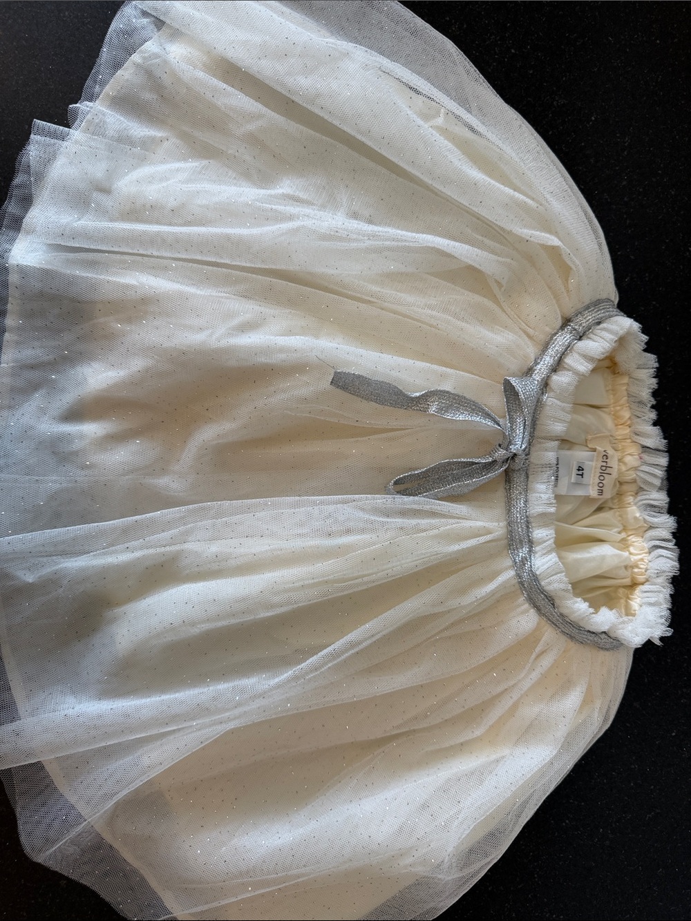 EverBloom Ivory Tulle Skirt for Kids with Silver Ribbon